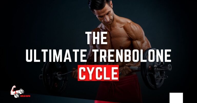 Tren Cycle: Everything You Need to Know