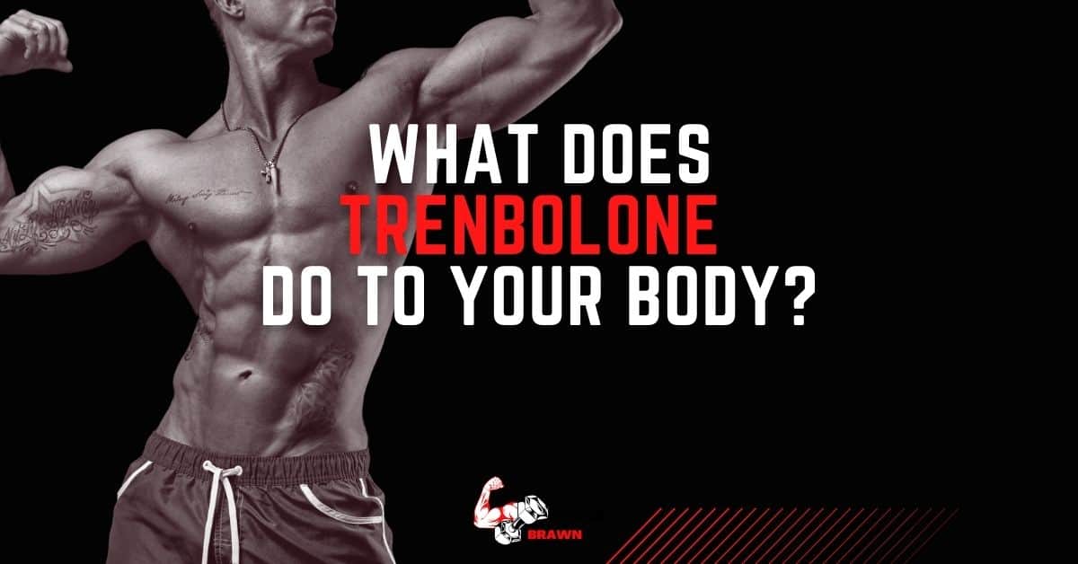 What Does Trenbolone Do to Your Body? (7 Proven Effects) | Fitness and ...