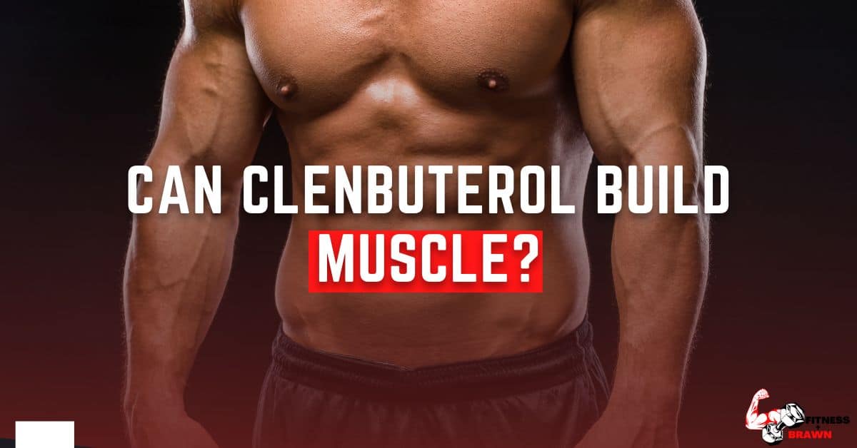 Can Clenbuterol Build Muscle - Can Clenbuterol Build Muscle? Revealed
