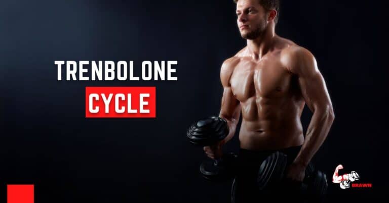 Trenbolone Cycle: What You Should Know